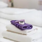 The Arms Appartement *